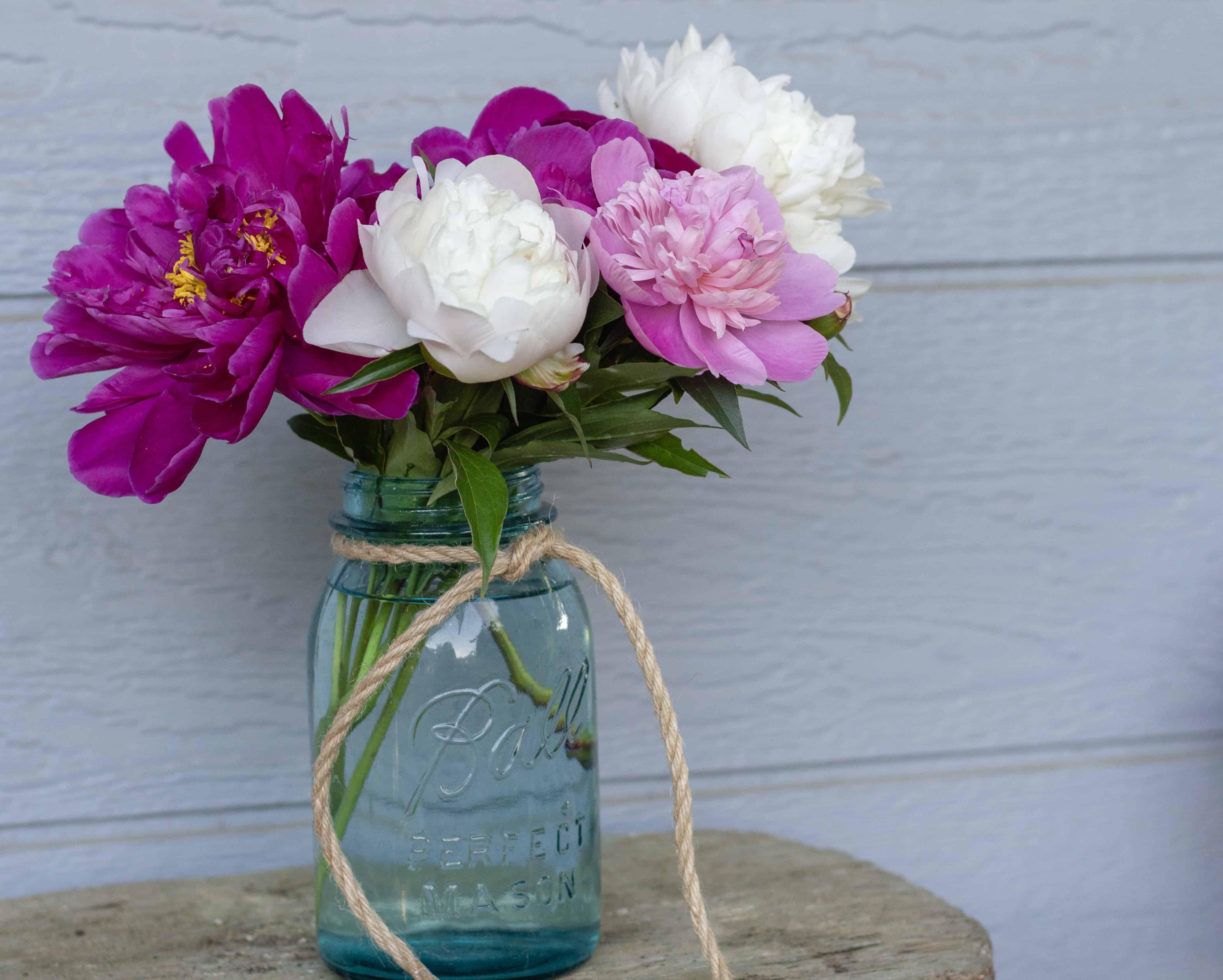 10 Creative Ways To Use Mason Jars In The Garden