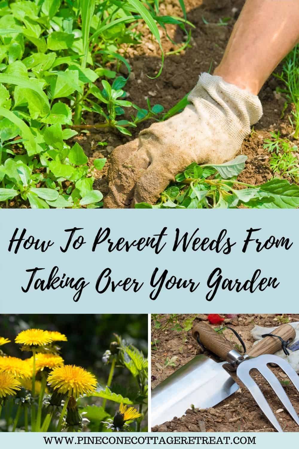 How To Prevent Weeds From Taking Over Your Garden - Pinecone Cottage 